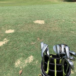 Meet your Posher, Cody